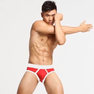 Desire – Red Brief